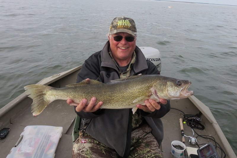 AR16-Dale Walleye 6-3-2016